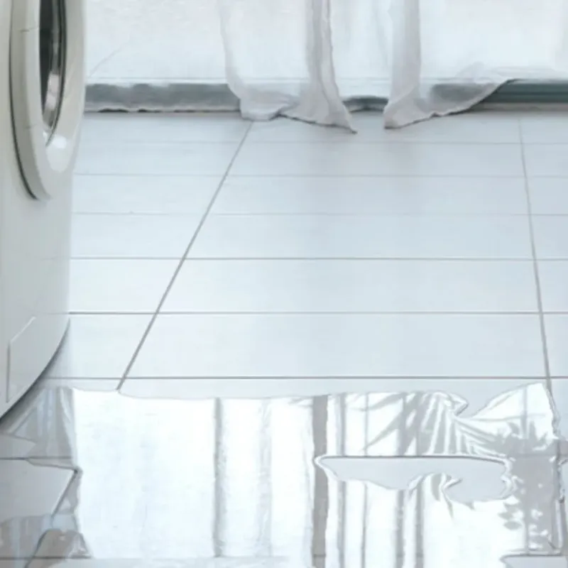 Appliance Leak Cleanup in Liberty Center, OH
