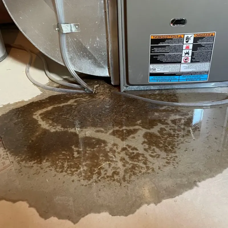 Pipe Burst and Leak Restoration in Liberty Center, OH