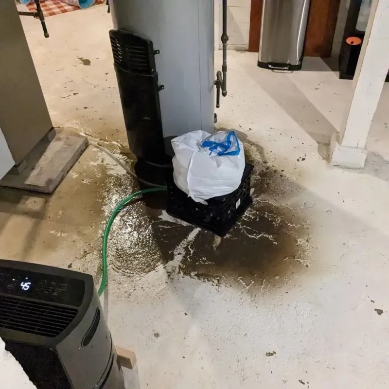 Sewage Backup Cleanup Service in Liberty Center, OH